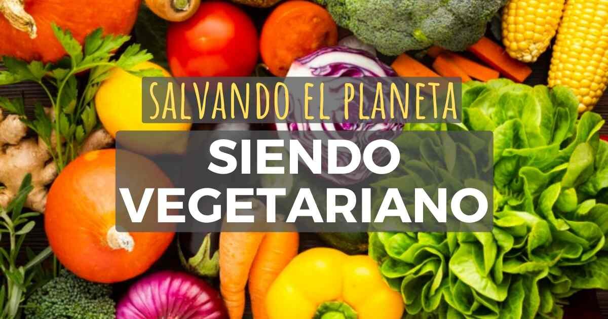 Por qué ser vegetariano ayuda al medio ambiente? - Catering Vegano Barcelona
